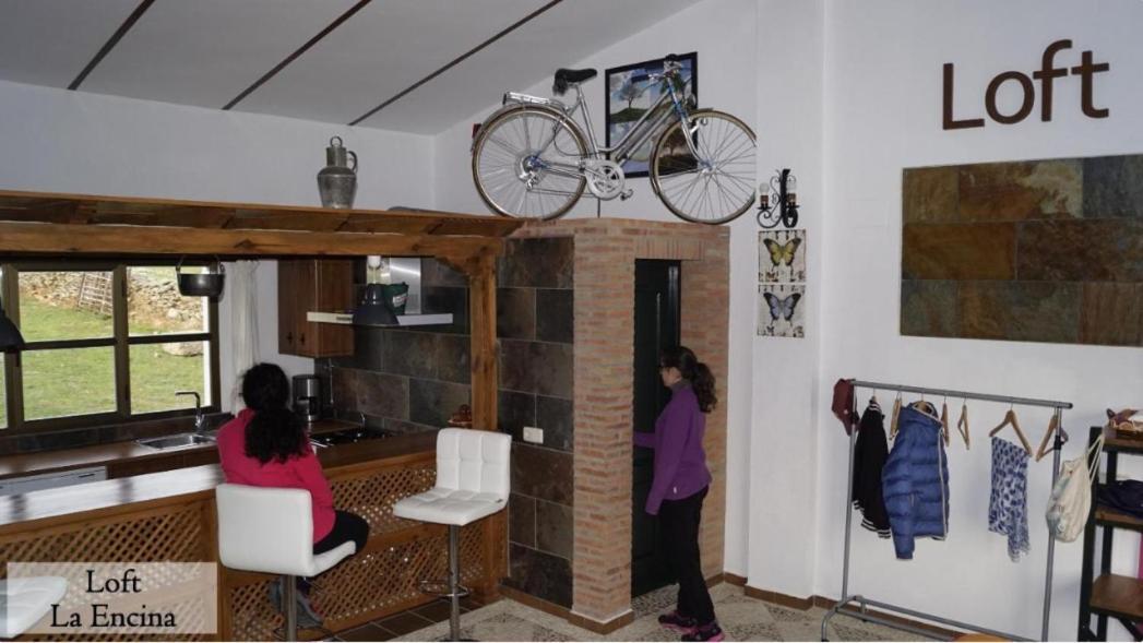 Apartamento Loft La Encina Torrejon el Rubio Bagian luar foto